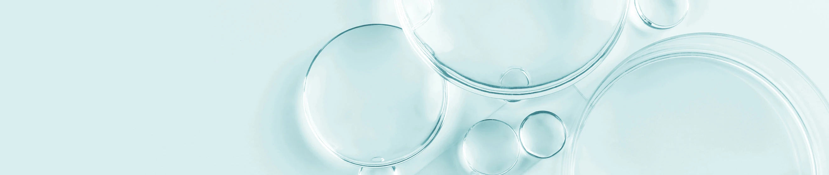 Murad Pores Collection