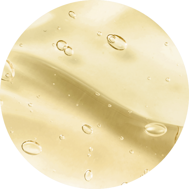 bacillus ferment ingredient