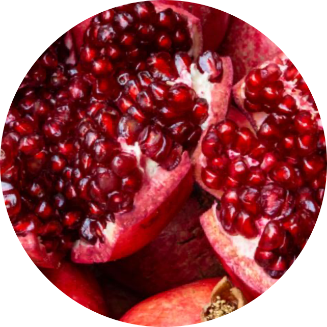 pomegrante grape seed extract