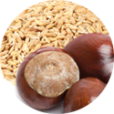 horse chestnut and oat ingredient