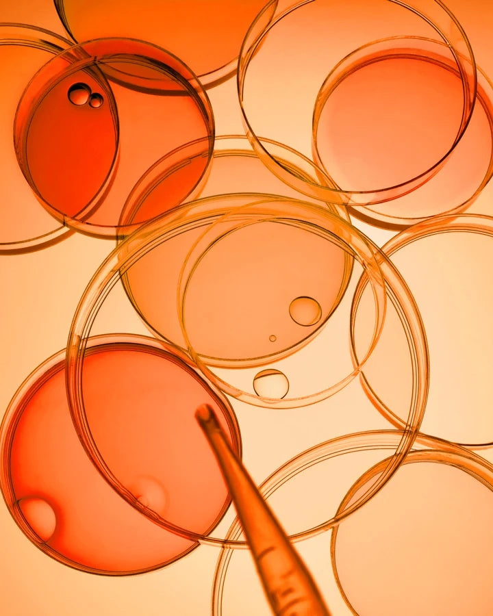 a group of orange petri dishes