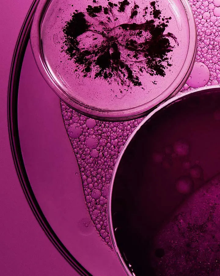 A petri dish with a purple liquid in it