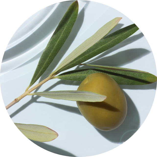olive oat alpha glucan ingredient