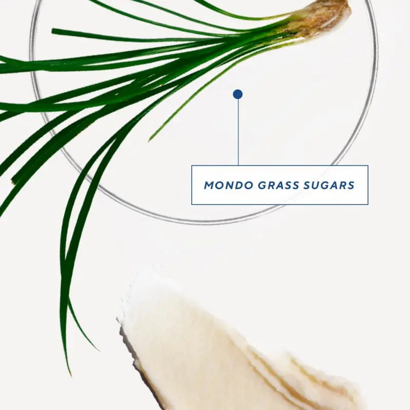 Mondo Gress Sugars ingredient highlight
