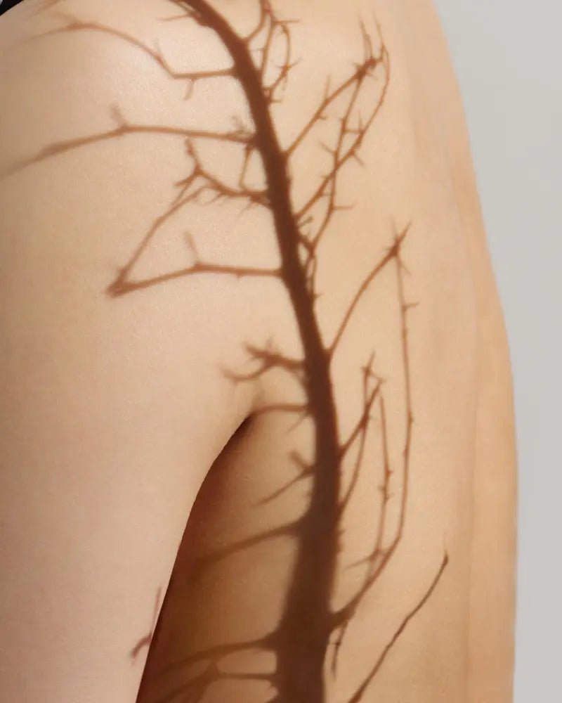 A person's bare back with a tree shadow