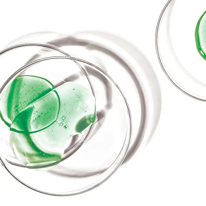 A group of clear plates with green liquid in them