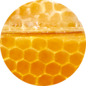 honey ingredient